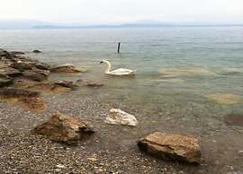 Cozy Apartment in Sirmione near Lake Garda
