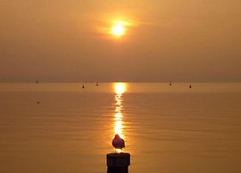 Cozy Apartment in Sirmione near Lake Garda