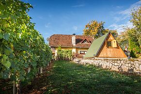 Vineyard Cottage Hocevar