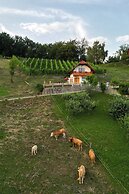 Vineyard Cottage Krivic