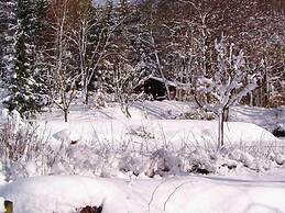 Holiday Home in Kollnburg With Garden