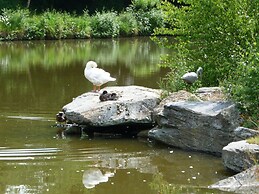 Splendid Chalet in Gouvy With Fenced Garden