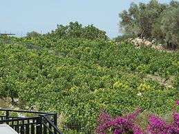 Stylish Villa in Loutra with Private Pool & Garden near Sea Beach