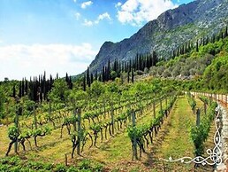 Exclusive Villa with Private Pool & Huge Fenced Property near Dubrovni