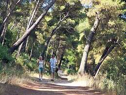 Luxury Apartment With Private Balcony in Quiet Area