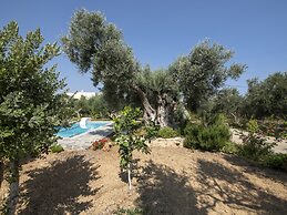 Modern Holiday Home in Sfakaki