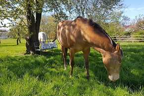 Geraeumiges Ferienhaus mit Sauna
