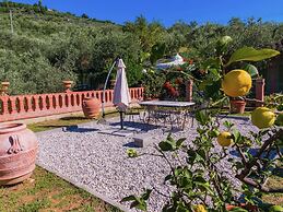 Nice Farmhouse in Montecatini Terme with Sauna & Hot Tub