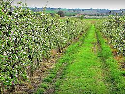 Belvilla by OYO Villa Paola