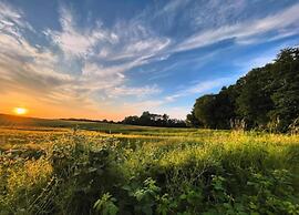 Wohnung in Wismar mit Eigener Terrasse