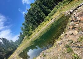 Beautiful Apartment in a Spa Resort, Only 2,5 km From the Jáchymov Cha