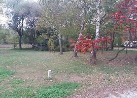 Spacious Apartment in Veli Rat With Courtyard