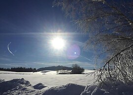 Fantastic Apartment Near Oberammergau