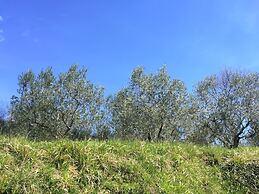 Belvilla by OYO Cottage in Piandisca2 With Terrace