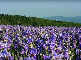 Belvilla by OYO Cottage in Piandisca2 With Terrace