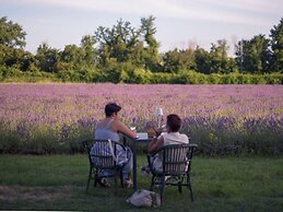 Belvilla by OYO Cotogno