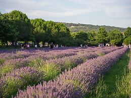 Belvilla by OYO Cotogno