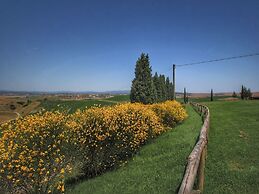 Farmhouse in Arbia Asciano With Pool