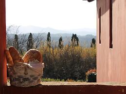 Apartment With Swimming Pool in Ghizzano Italy