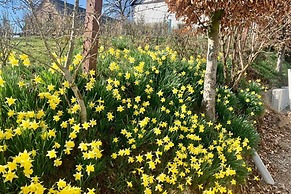 Beautiful Chalet Near the Forest in Malmedy