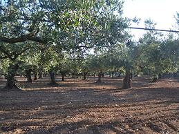 Sun-drenched Estate Close to Sciacca Near the Beach