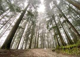 Holiday Home in Ortignano With Swimming Pool