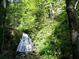 Holiday Home in the Black Forest With Terrace
