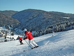 Holiday Home in the Black Forest With Terrace