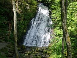 Holiday Home in the Black Forest With Terrace