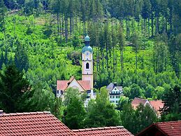 Flat in Bayerisch Eisenstein With Garden