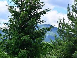 Flat in Bayerisch Eisenstein With Garden