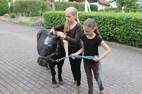 Ferienwohnung mit Loggia im Teutoburger Wald