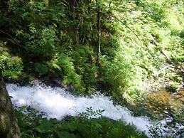 Holiday Home in the Black Forest With Terrace