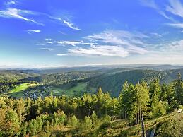 Holiday Home in the Black Forest With Terrace