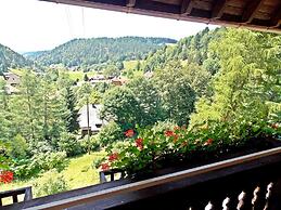 Holiday Home in the Black Forest With Terrace