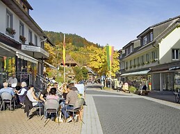Holiday Home in the Black Forest With Terrace
