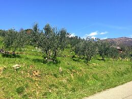 Apartment Tuscany Near Pratomagno Mountain