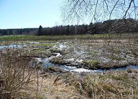 Beautiful Castle House in Spa With Spacious Garden