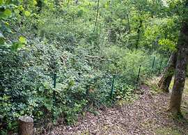 Pretty Chalet in Durbuy With Kids Play Area