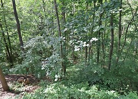 Pretty Chalet in Durbuy With Kids Play Area