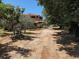 Charming Holiday Stay in Banjole