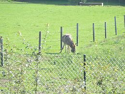 Cozy Holiday Home With Terrace and Garden