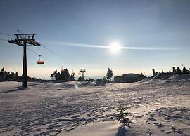 Snug Apartment in Jachymov near Ski Area
