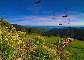 Snug Apartment in Jachymov near Ski Area