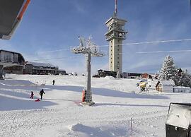 Snug Apartment in Jachymov near Ski Area