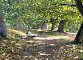 Snug Apartment in Jachymov near Ski Area