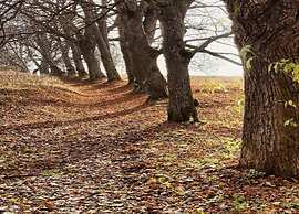 Snug Apartment in Jachymov near Ski Area