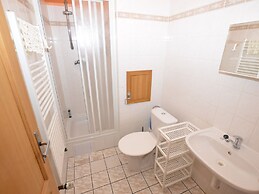 Snug Apartment in Jachymov near Ski Area
