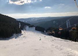 Snug Apartment in Jachymov near Ski Area