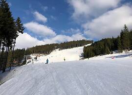 Snug Apartment in Jachymov near Ski Area